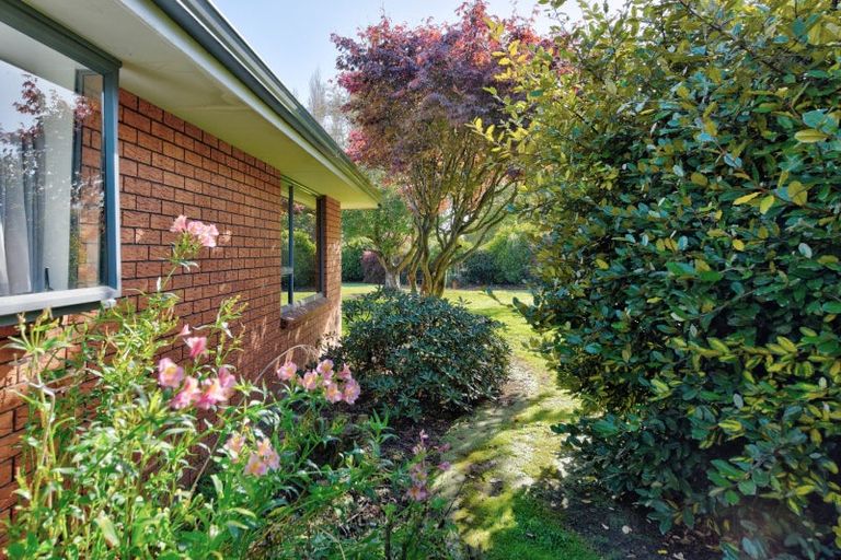 Photo of property in 50 Morton Street, Edendale, 9825