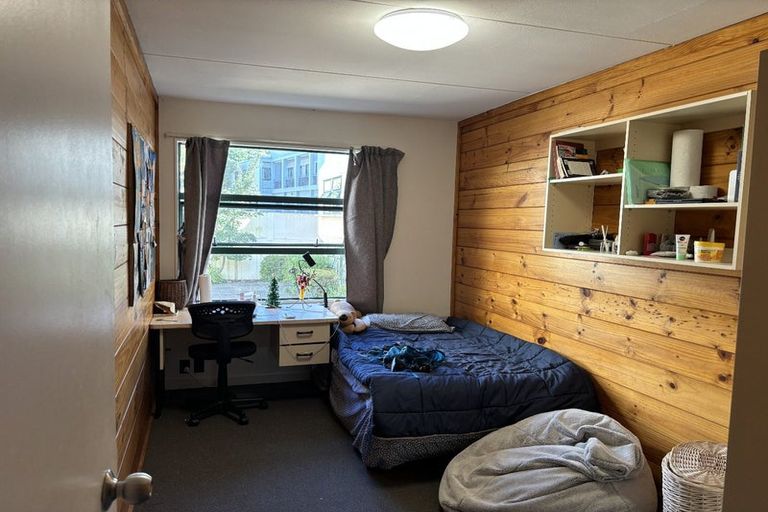 Photo of property in Te Awhina Apartments, 20/22 Sussex Street, Mount Cook, Wellington, 6021