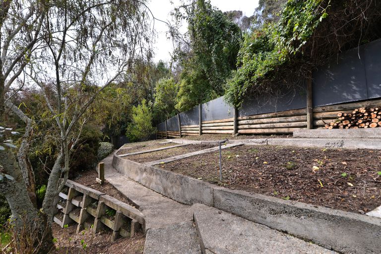 Photo of property in 8a Allan Street, Nelson South, Nelson, 7010