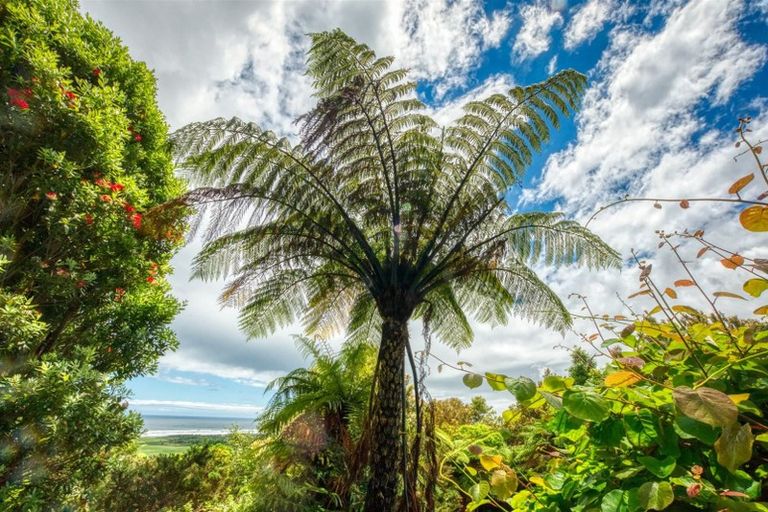 Photo of property in 3094 Coast Road, Barrytown, Runanga, 7873