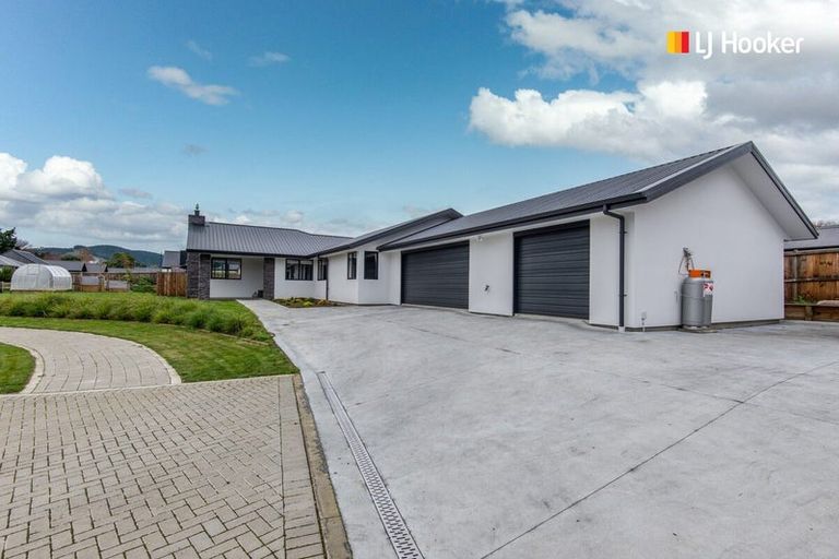 Photo of property in 17 Rodeo Place, Outram, 9019