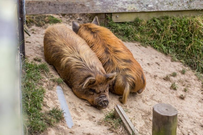 Photo of property in 1153 Paekakariki Hill Road, Paekakariki Hill, Porirua, 5381
