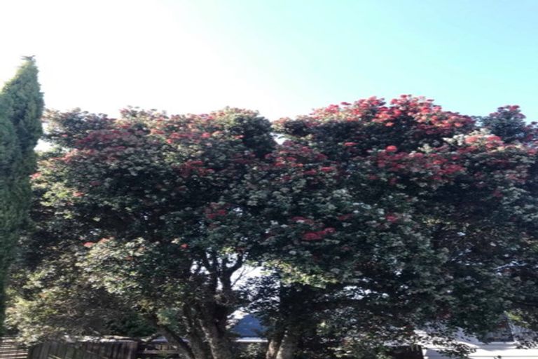 Photo of property in 5a Matavai Street, Mount Maunganui, 3116