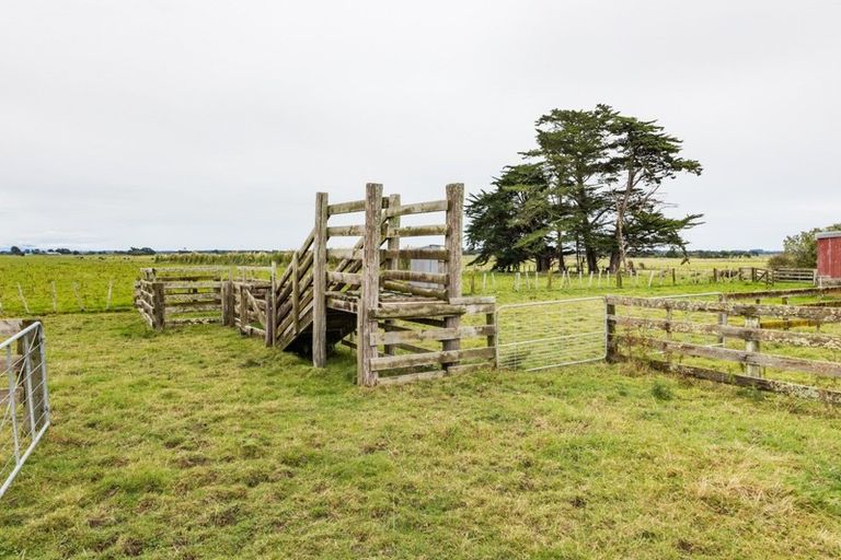 Photo of property in 473 Taipo Road, Rongotea, Palmerston North, 4476