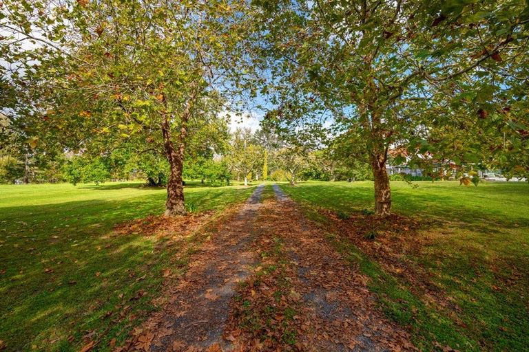 Photo of property in 221 Blackbridge Road, Dairy Flat, Albany, 0794