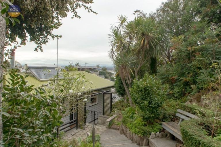 Photo of property in 13 Denholm Road, Hospital Hill, Napier, 4110