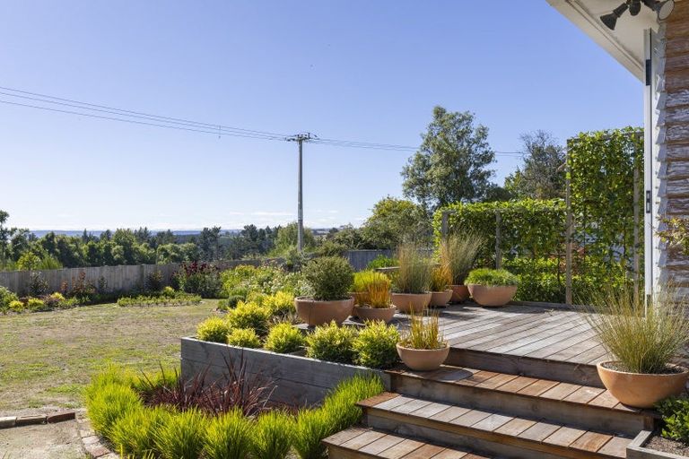 Photo of property in 41 Maire Street, Wairakei, Taupo, 3332