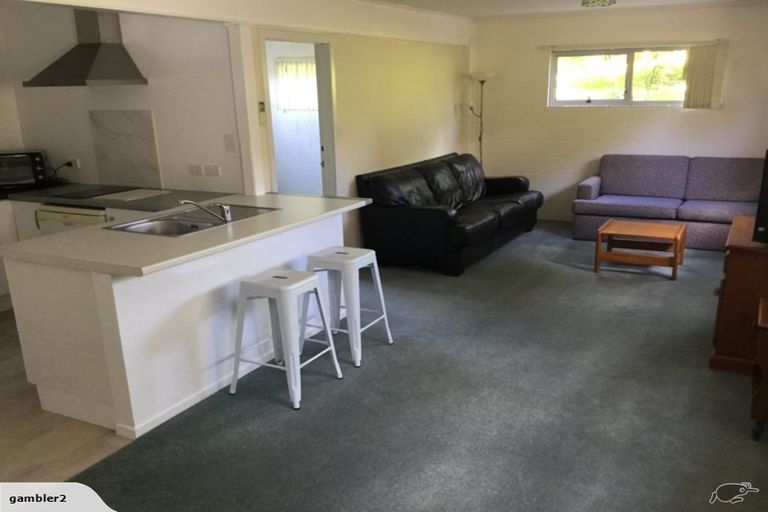 Photo of property in 80 Taipari Street, Maungatapu, Tauranga, 3112