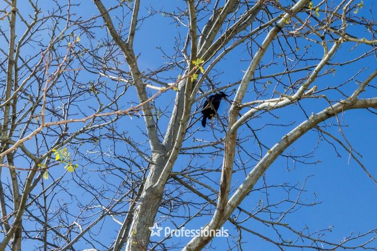 Photo of property in 26 Talbot Grove, Trentham, Upper Hutt, 5018