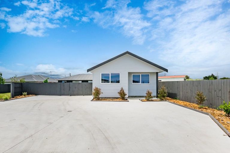 Photo of property in 25 Beatty Street, Levin, 5510