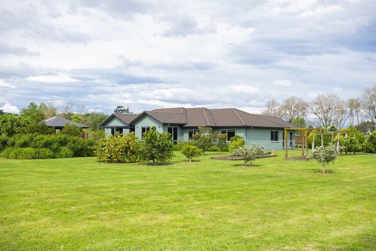 Photo of property in 592a Back Ormond Road, Makauri, Gisborne, 4071