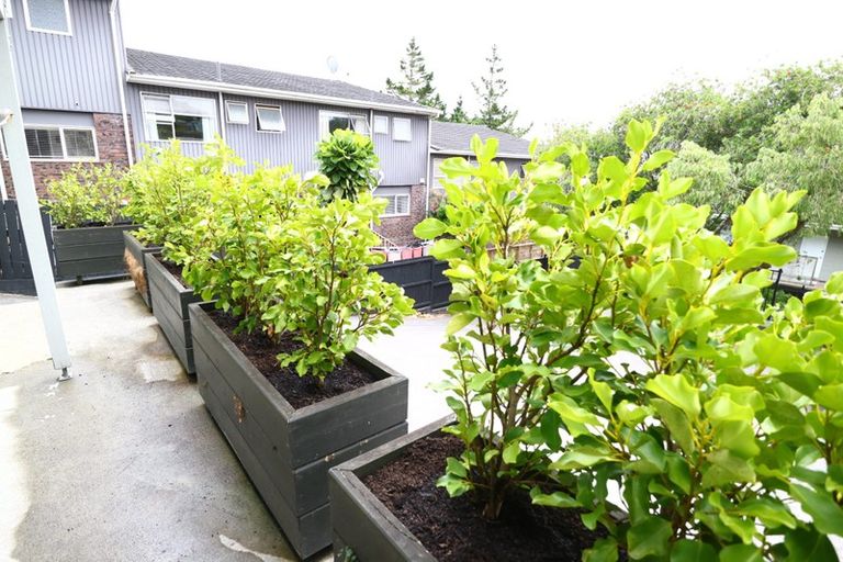 Photo of property in 1/573 New North Road, Kingsland, Auckland, 1021