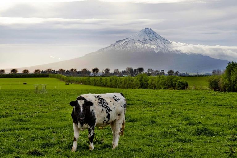 Photo of property in 357 Katene Road, Normanby, Hawera, 4675