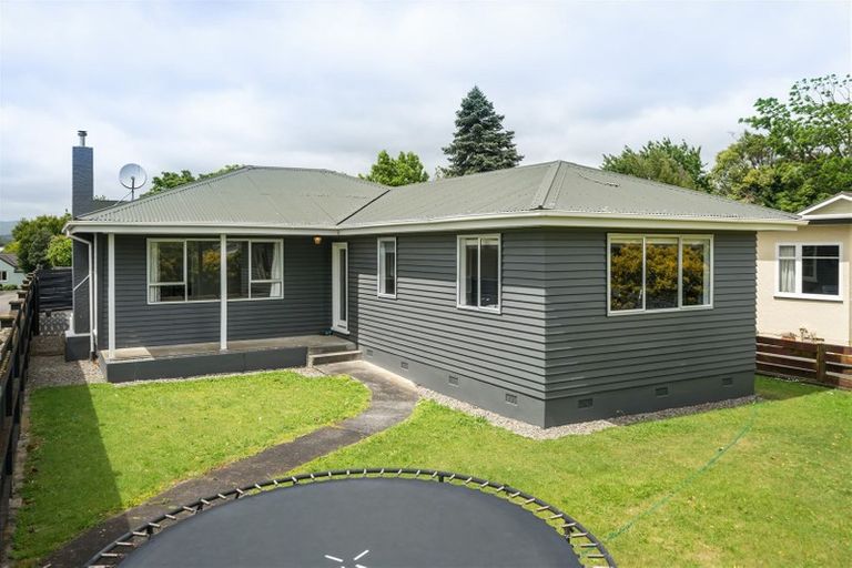 Photo of property in 42 Manson Street, Terrace End, Palmerston North, 4410