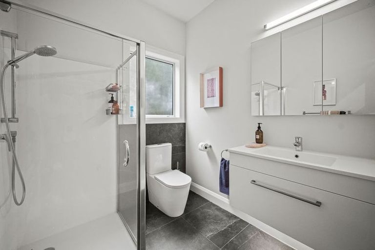 Photo of property in 21 Lloyd Avenue, Mount Albert, Auckland, 1025