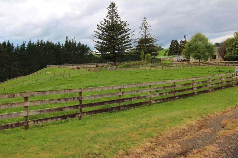 Photo of property in 290 Hunter Road, Patumahoe, Pukekohe, 2679
