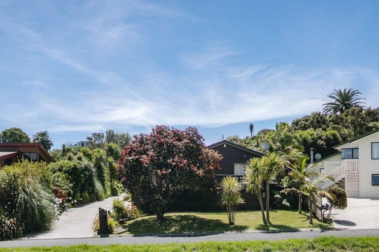 Photo of property in 15 Tutchen Avenue, Raglan, 3225