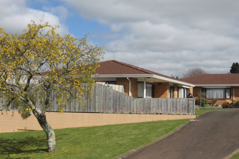 Photo of property in 64 Fifth Avenue, Tauranga, 3110