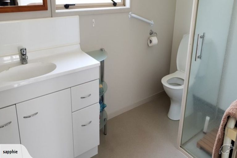 Photo of property in 54a Mulgrave Street, Ashhurst, 4810