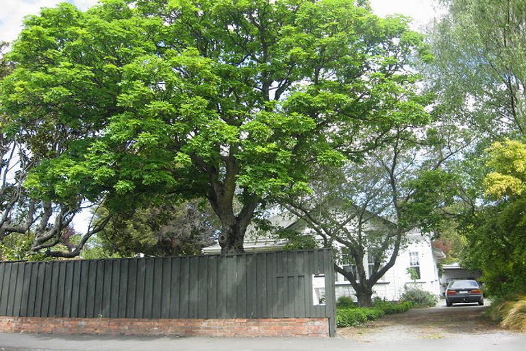 Photo of property in 11 Monro Street, Blenheim, 7201