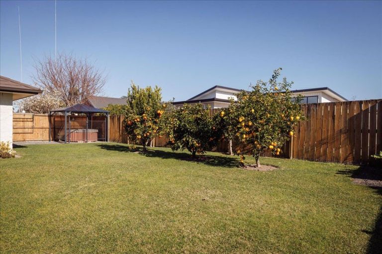 Photo of property in 11 Allington Place, Bethlehem, Tauranga, 3110