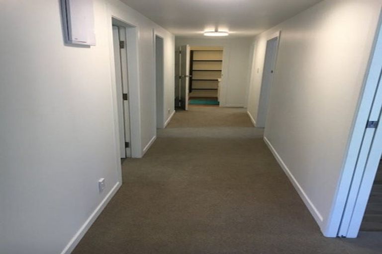 Photo of property in 20 Durham Street, Aro Valley, Wellington, 6021