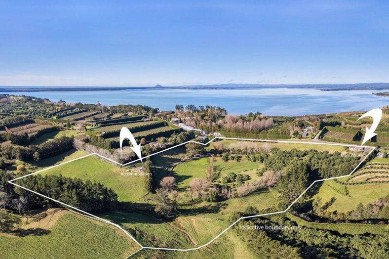 Photo of property in 263 Kauri Point Road, Tahawai, Katikati, 3170