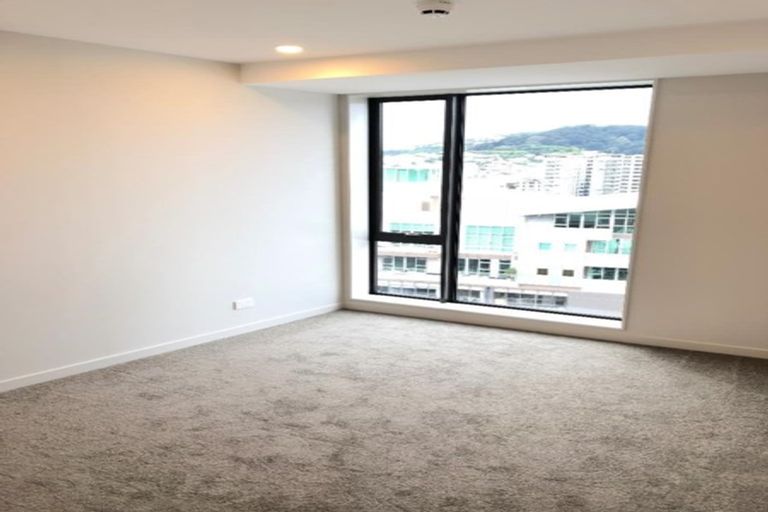 Photo of property in Vsp South, 1101/168 Victoria Street, Te Aro, Wellington, 6011