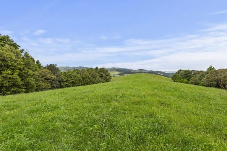 Photo of property in 201c Checkley Road, Raglan, 3295