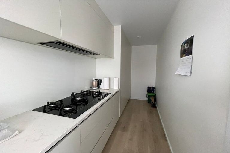 Photo of property in 20b Garland Road, Greenlane, Auckland, 1061