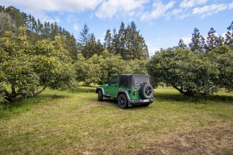 Photo of property in 520 Wright Road, Aongatete, Katikati, 3181