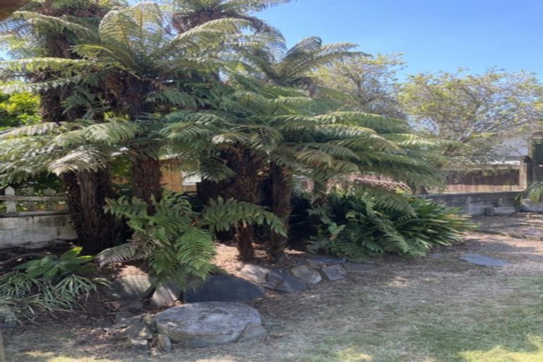 Photo of property in 127 Sixteenth Avenue, Tauranga South, Tauranga, 3112