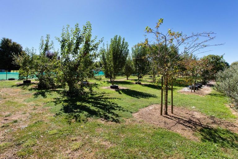 Photo of property in 111 Umutaoroa Road, Dannevirke, 4978
