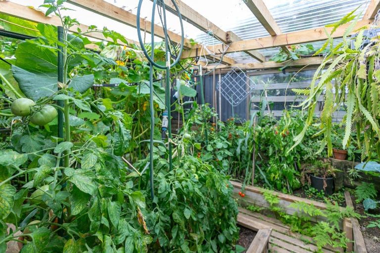 Photo of property in 101a Tobie Place, Whangamata, 3620