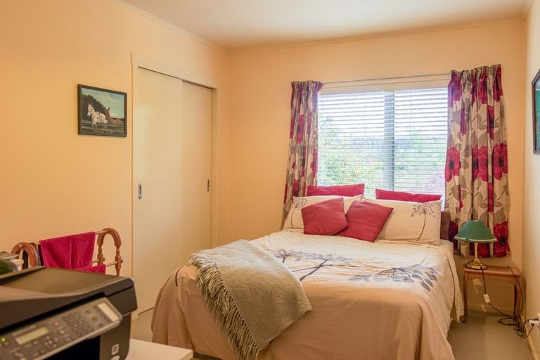 Photo of property in 189 Hogg Road, Rotoma, Whakatane, 3192