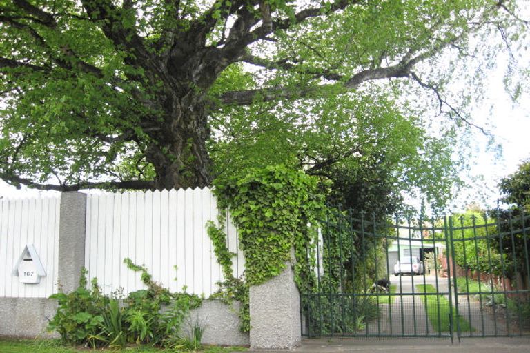 Photo of property in 107 Maxwell Road, Blenheim, 7201