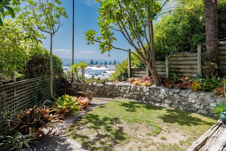 Photo of property in 156 Battery Road, Hospital Hill, Napier, 4110