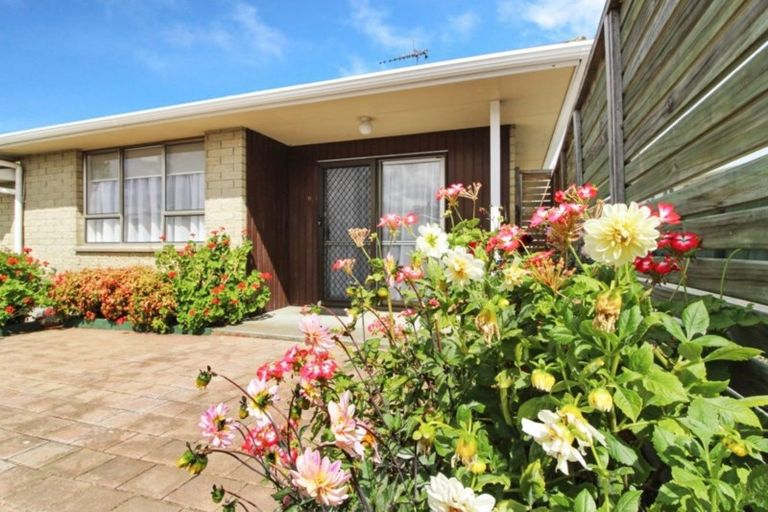 Photo of property in 1c Willis Street, Marton, 4710