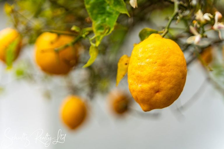 Photo of property in 15 Bickerstaffe Road, Maungaturoto, 0520