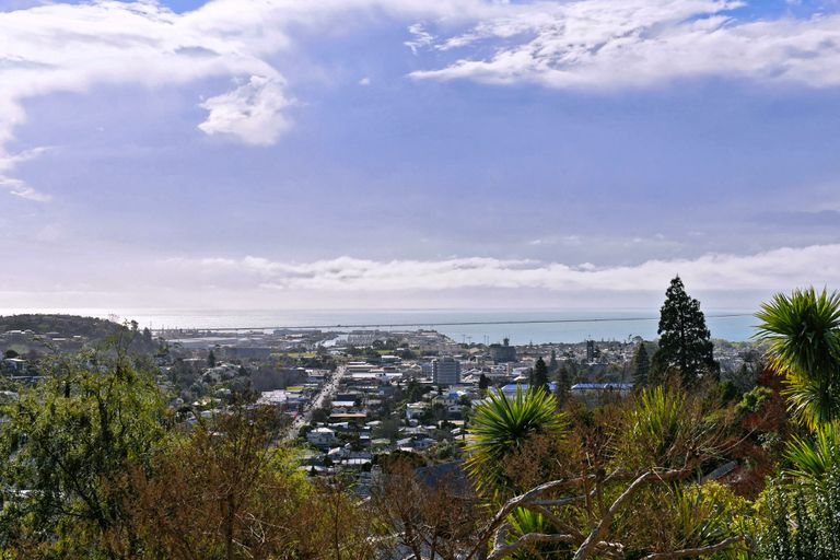 Photo of property in 8a Allan Street, Nelson South, Nelson, 7010