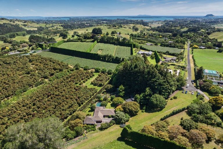 Photo of property in 80 Vernon Road, Minden, Tauranga, 3171