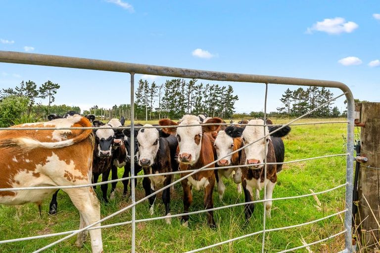 Photo of property in 331 South Head Road, South Head, Helensville, 0874