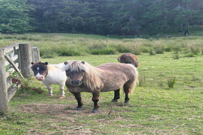 Photo of property in 637 Ormandy Road, Mangapai, 0178