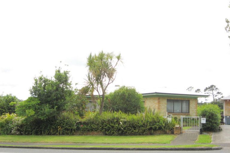 Photo of property in 141 Edinburgh Street, Pukekohe, 2120