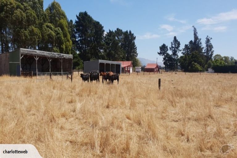 Photo of property in 139 Grays Road, Amberley, 7481