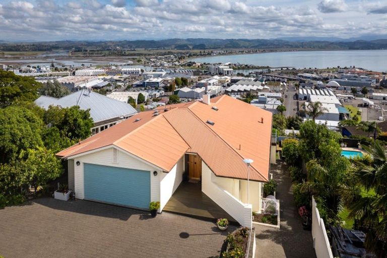Photo of property in 8 George Street, Hospital Hill, Napier, 4110