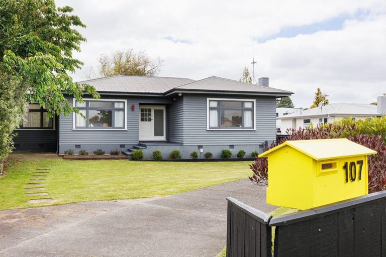 Photo of property in 107 Fitzroy Street, Terrace End, Palmerston North, 4410