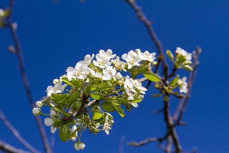 Photo of property in 3 Clarkes Crescent, Paekakariki, 5034