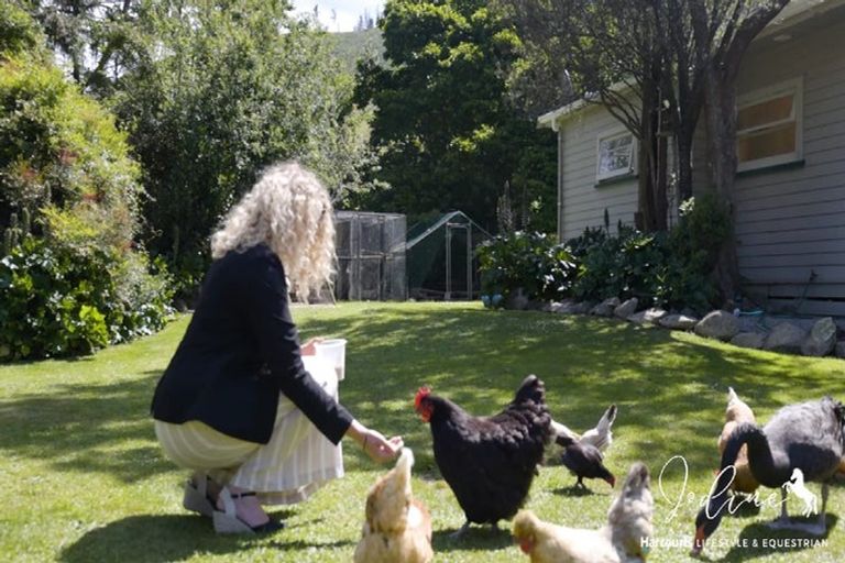 Photo of property in 124 Tunakino Valley, Rai Valley, 7194