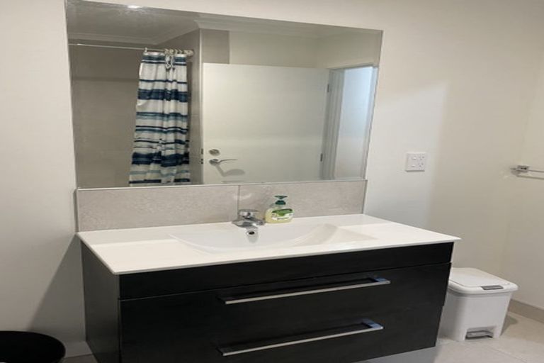 Photo of property in 64a Vogel Street, Roslyn, Palmerston North, 4414